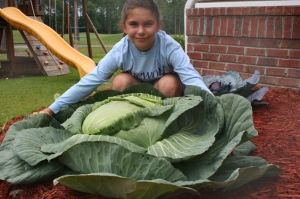 Katie Stagliano poses with the cabbage she grew to help feed more than 275 people at a local soup kitchen.